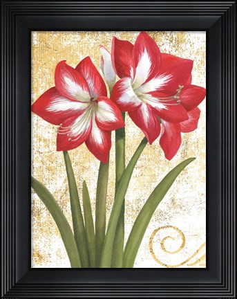 Framed Winter Birds Amaryllis I Gold and White Print