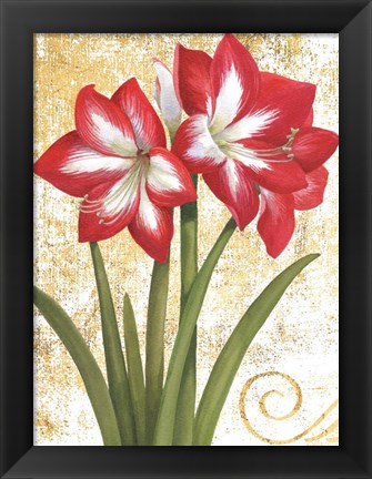 Framed Winter Birds Amaryllis I Gold and White Print