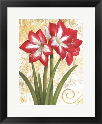 Framed Winter Birds Amaryllis I Gold and White Print