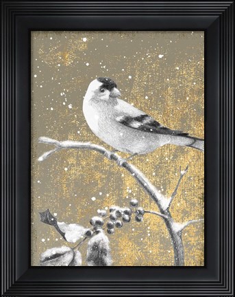 Framed Winter Birds Goldfinch Neutral Print