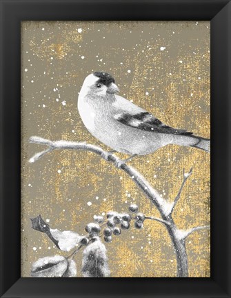 Framed Winter Birds Goldfinch Neutral Print