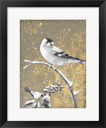 Framed Winter Birds Goldfinch Neutral Print