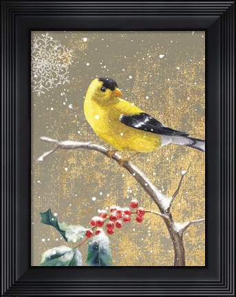 Framed Winter Birds Goldfinch Color Print