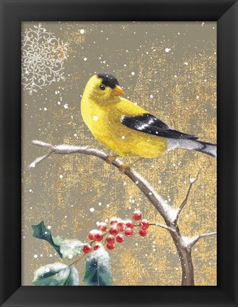 Framed Winter Birds Goldfinch Color Print