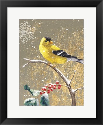 Framed Winter Birds Goldfinch Color Print