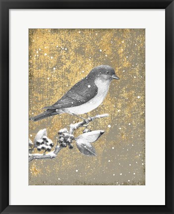 Framed Winter Birds Bluebird Neutral Print