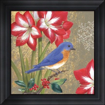 Framed Winter Birds Bluebird Print