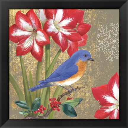 Framed Winter Birds Bluebird Print