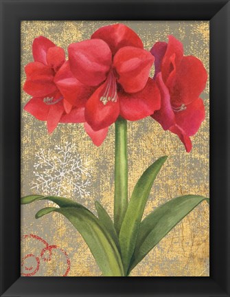 Framed Winter Birds Amaryllis II Print