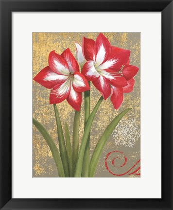 Framed Winter Birds Amaryllis I Print