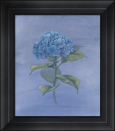 Framed Blue Hydrangea IV Print