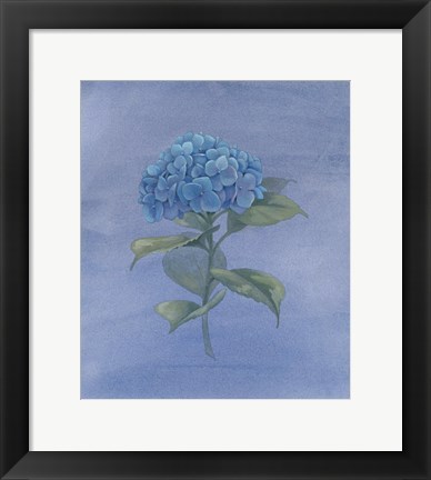 Framed Blue Hydrangea IV Print