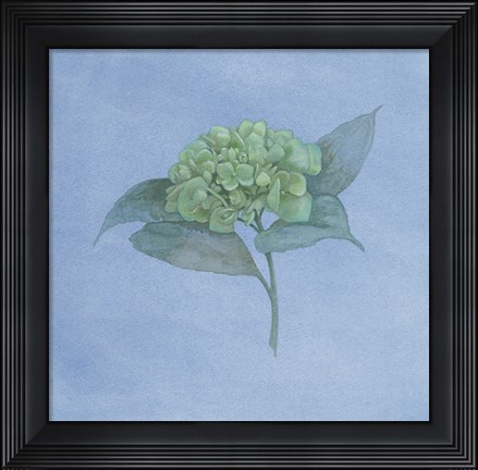 Framed Blue Hydrangea II Print