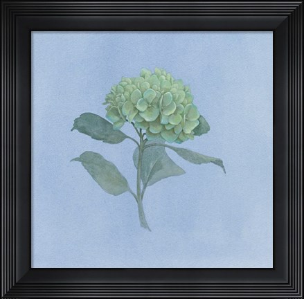 Framed Blue Hydrangea I Print