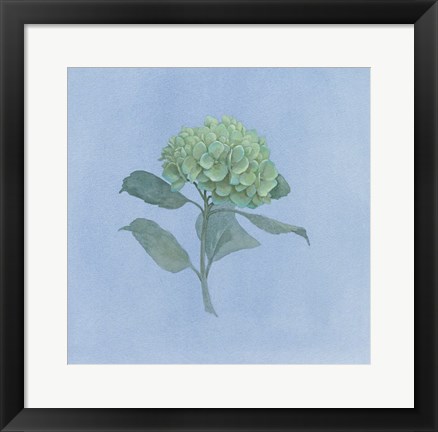 Framed Blue Hydrangea I Print