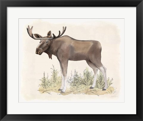 Framed Wilderness Collection Moose Print