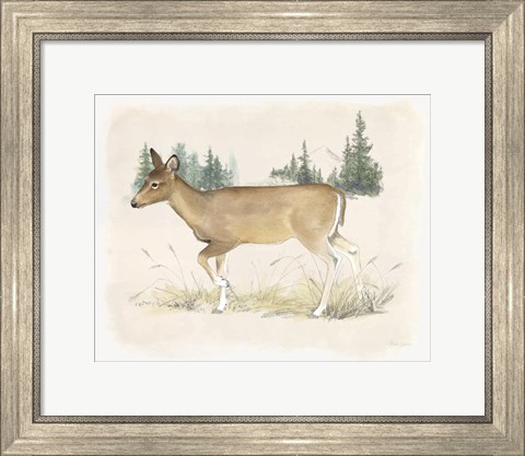 Framed Wilderness Collection Deer Print
