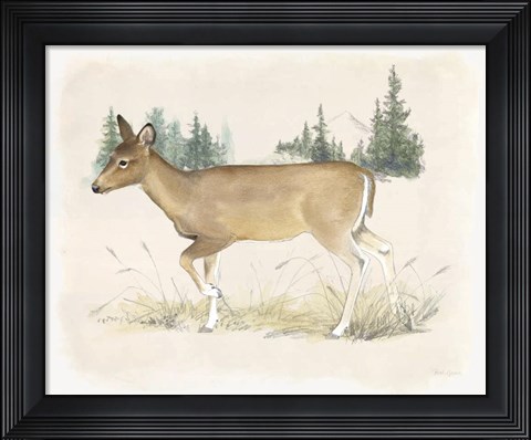 Framed Wilderness Collection Deer Print
