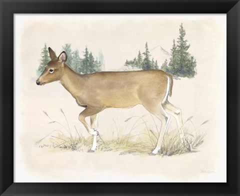 Framed Wilderness Collection Deer Print