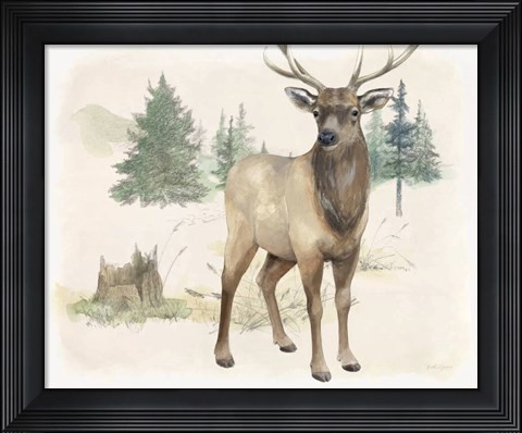 Framed Wilderness Collection Elk Print