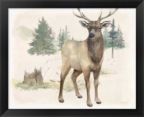 Framed Wilderness Collection Elk Print