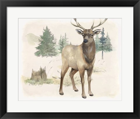 Framed Wilderness Collection Elk Print