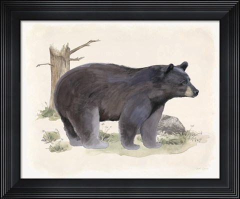 Framed Wilderness Collection Bear Print