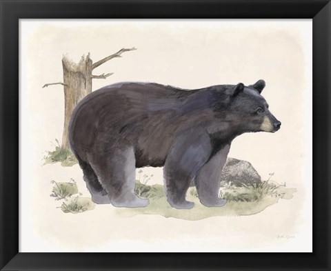 Framed Wilderness Collection Bear Print