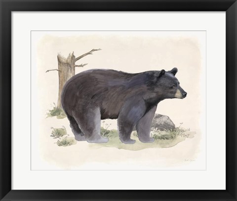 Framed Wilderness Collection Bear Print