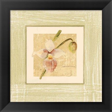 Framed Exotic Floral IV Print