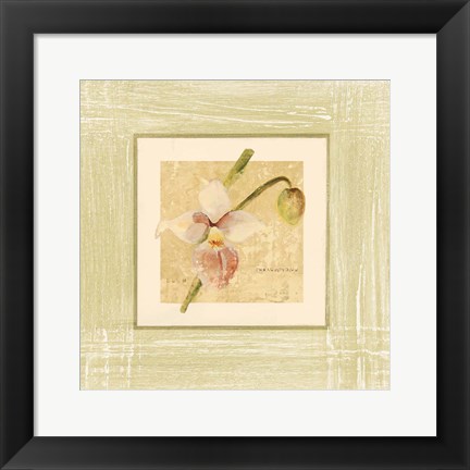 Framed Exotic Floral IV Print