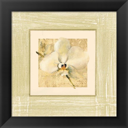 Framed Exotic Floral III Print