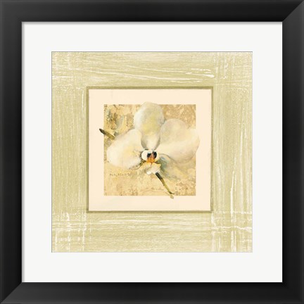 Framed Exotic Floral III Print