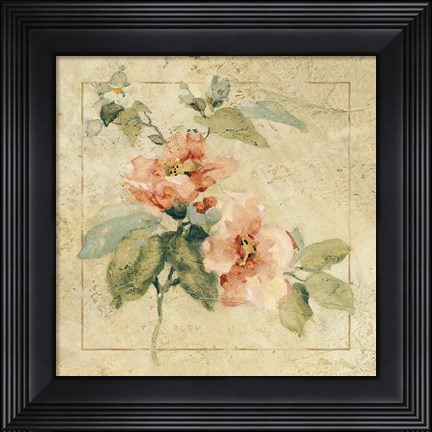 Framed Provence Rose I Print