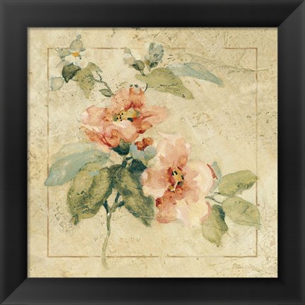 Framed Provence Rose I Print