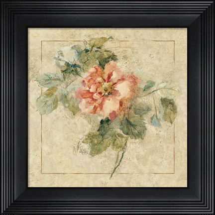 Framed Provence Rose II Print