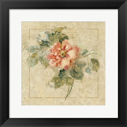 Framed Provence Rose II Print