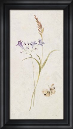Framed Wild Wallflowers III Print