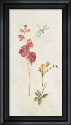 Framed Wild Wallflowers II Print