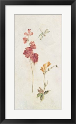 Framed Wild Wallflowers II Print