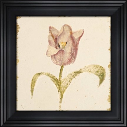 Framed Vintage Blue Parrot Tulip Crop Print