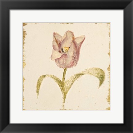 Framed Vintage Blue Parrot Tulip Crop Print