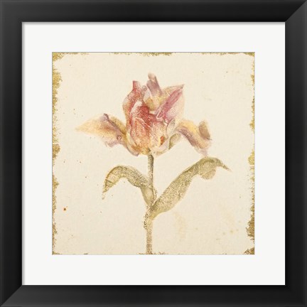 Framed Vintage Zoomer Schoon Tulip Crop Print