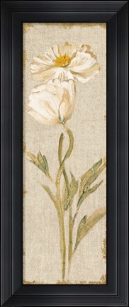 Framed Cosmo Panel on White Vintage Print