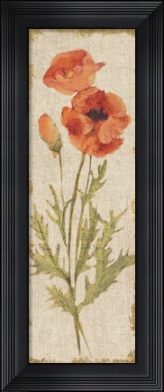Framed Poppy Panel on White Vintage Print