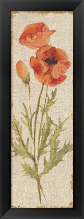 Framed Poppy Panel on White Vintage Print