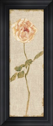Framed Pale Rose Panel on White Vintage Print