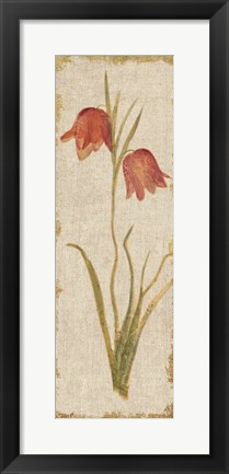 Framed Red Tulip Panel on White Vintage Print