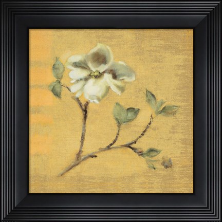 Framed Dogwood Blossom on Gold Print