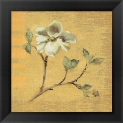 Framed Dogwood Blossom on Gold Print